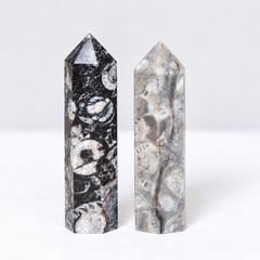 Two polished stone tower points standing upright on a white studio background. The left tower is black and white with a banded, fossil-like marbled pattern.