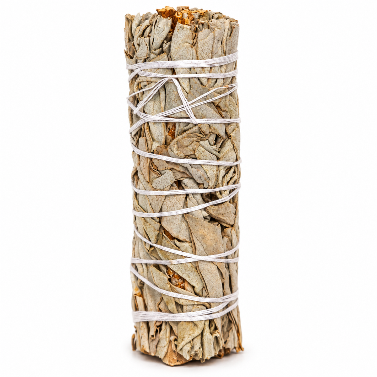Organic Mexican Sage Stick bundled using a twine in a white background
